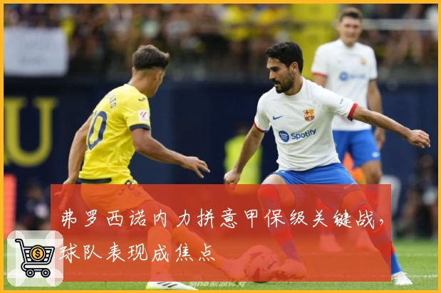 弗罗西诺内力拼意甲保级关键战，球队表现成焦点