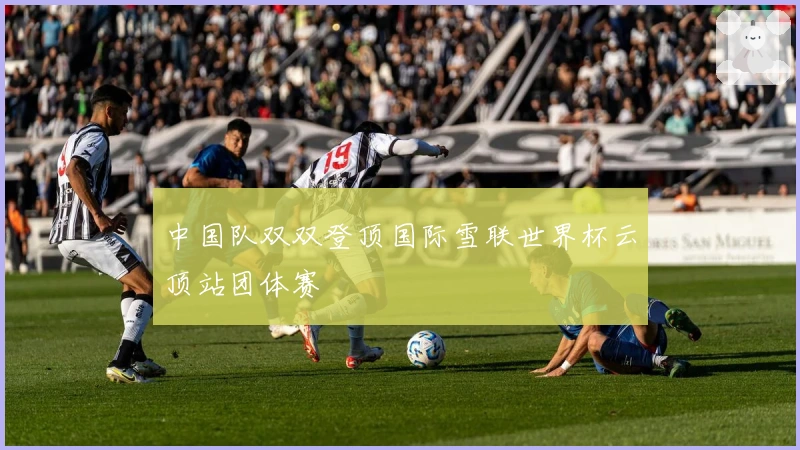 中国队双双登顶国际雪联世界杯云顶站团体赛