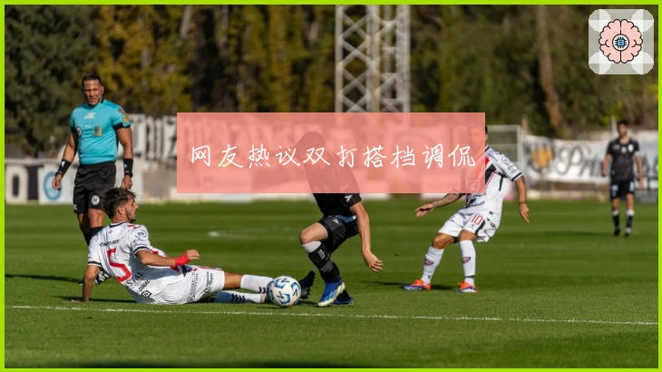 网友热议双打搭档调侃